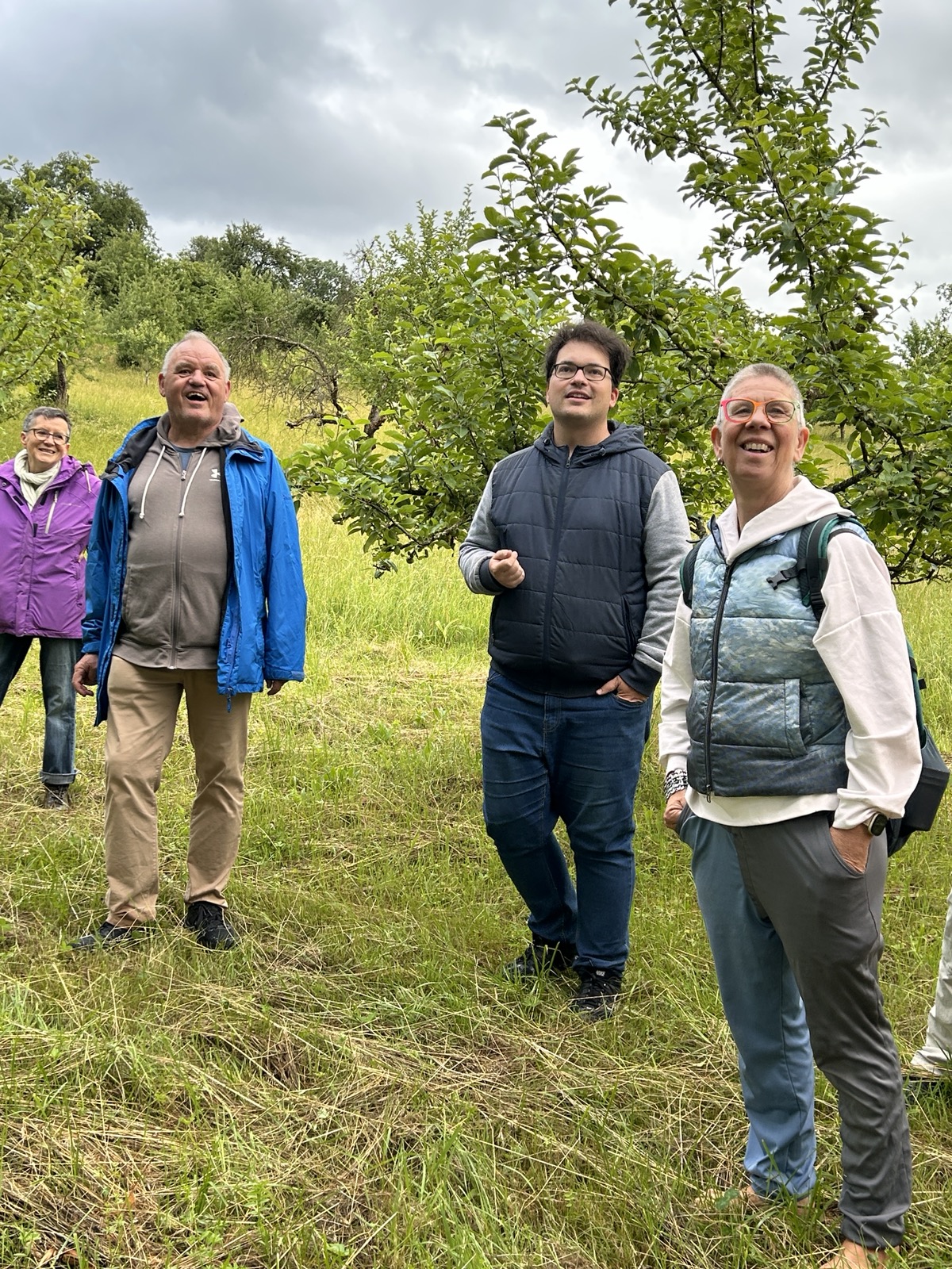 Auf Daniel's Streuobstwiese