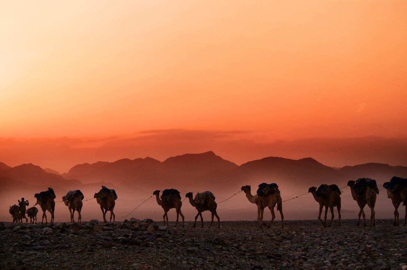 Through the desert